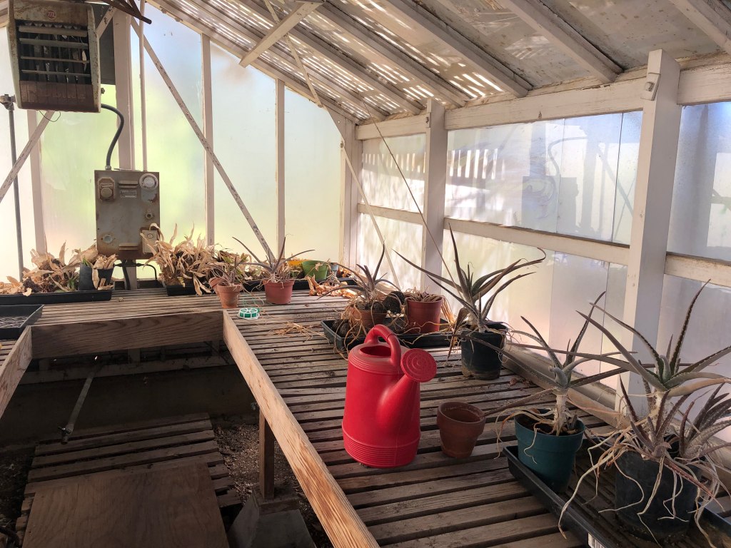 Blooming Buddies Garden Club seeks to create appreciation for the&nbsp;environment