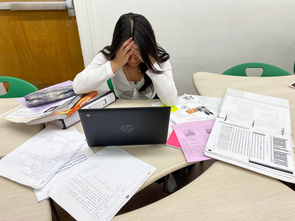 How to deal with school-induced stress and anxiety 