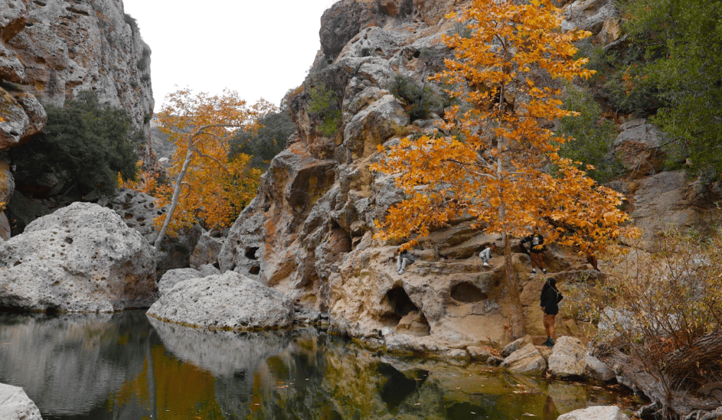 Outdoor Stoics encourages breaks from&nbsp;technology